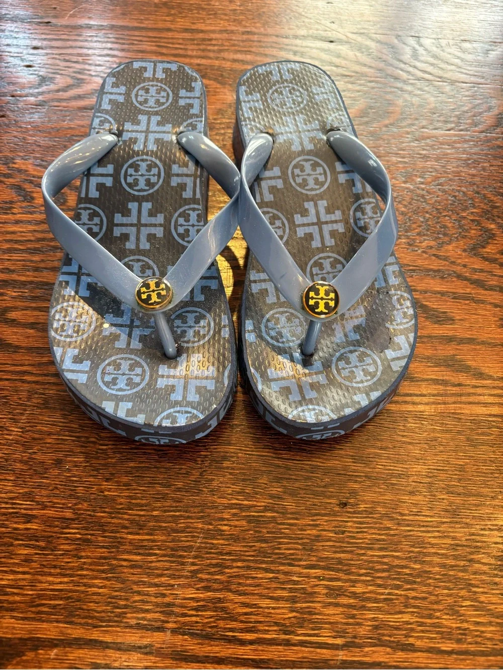 Tory Burch Light Blue Logo Jelly Flip Flops with Gold Emblem